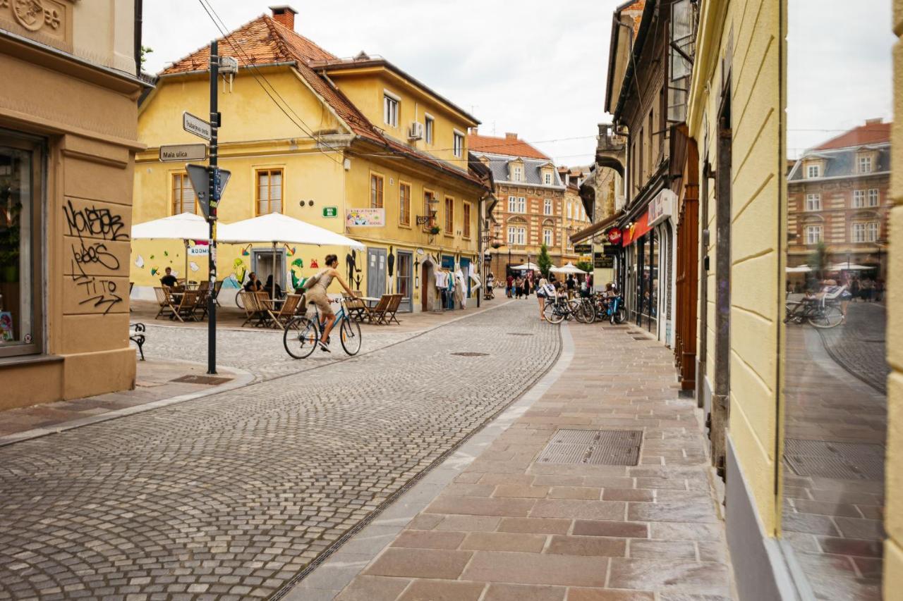 150 Steps To The Main Square Apartment Ljubljana Luaran gambar